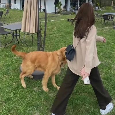 良医第二季